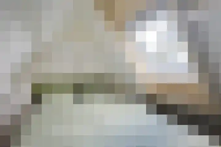 Eligenstraat 39 Utrecht thumbnail 43