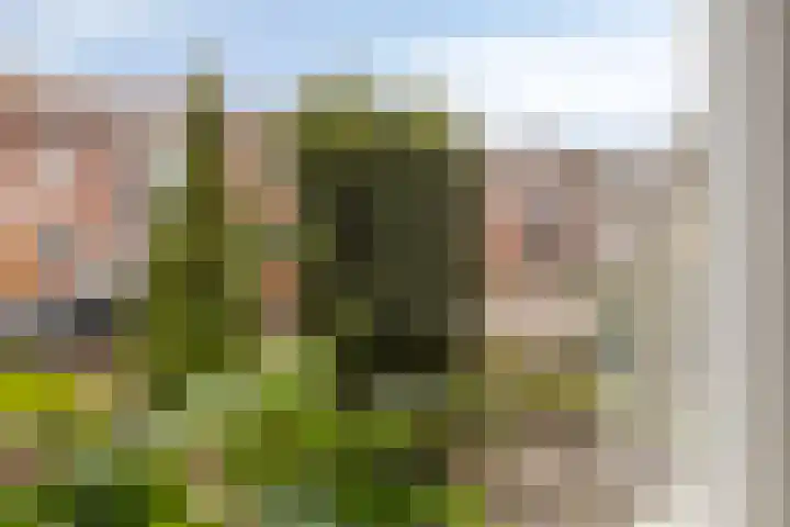 Eligiusstraat 103 Aalten thumbnail 6