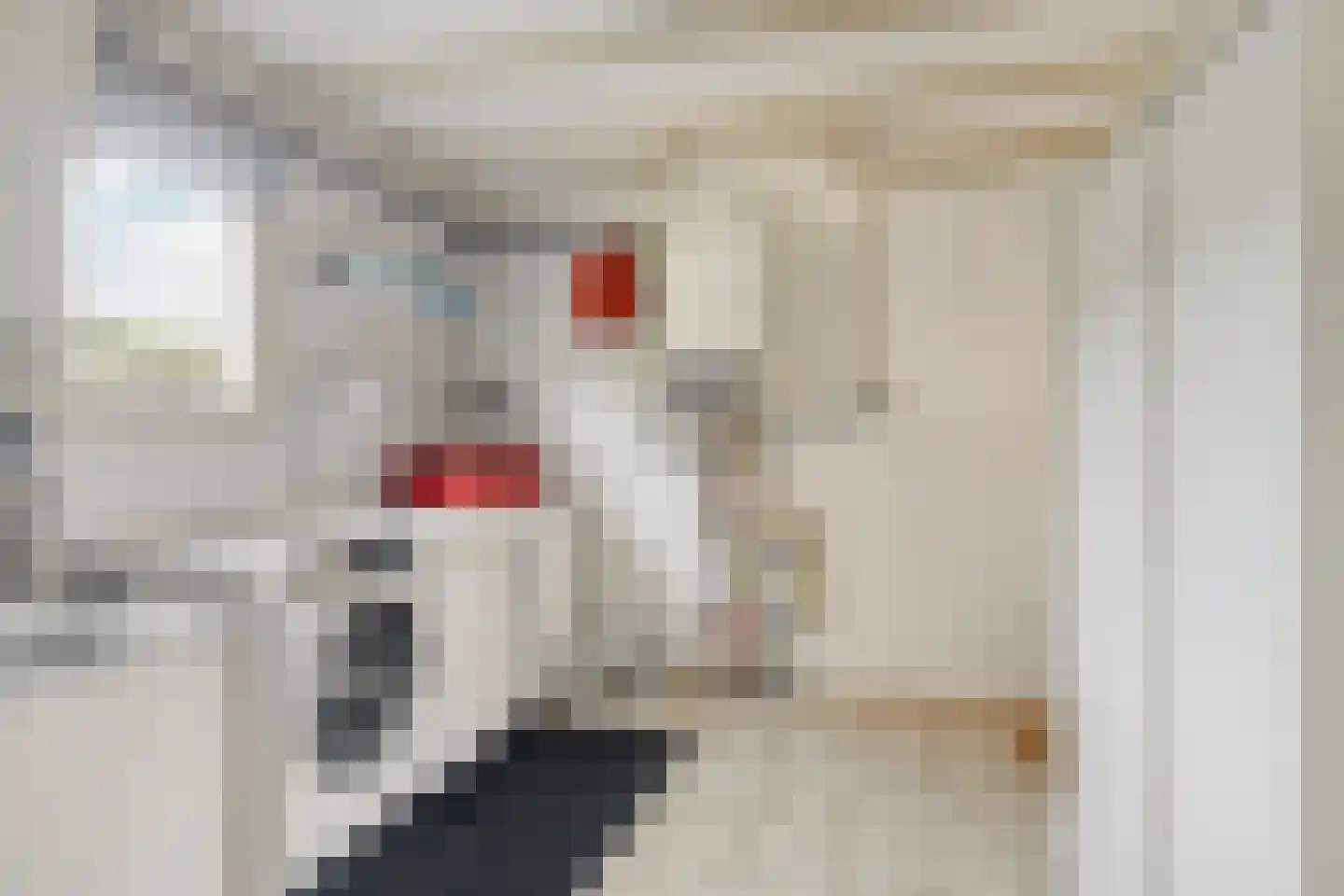 Eligiusstraat 25 Aalten thumbnail 12