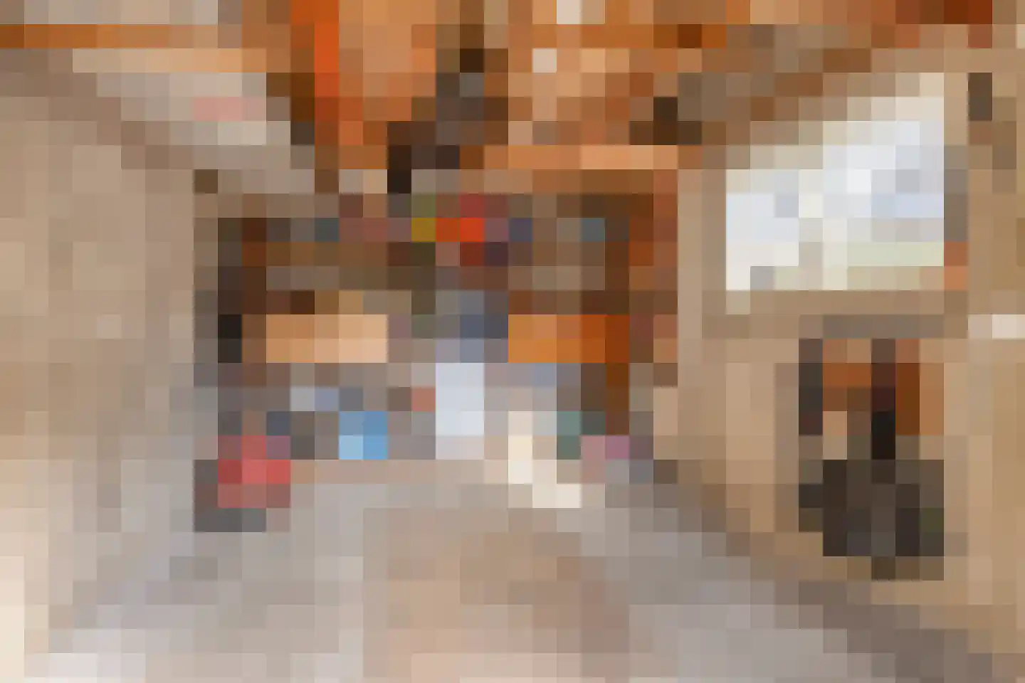 Eligiusstraat 25 Aalten thumbnail 28