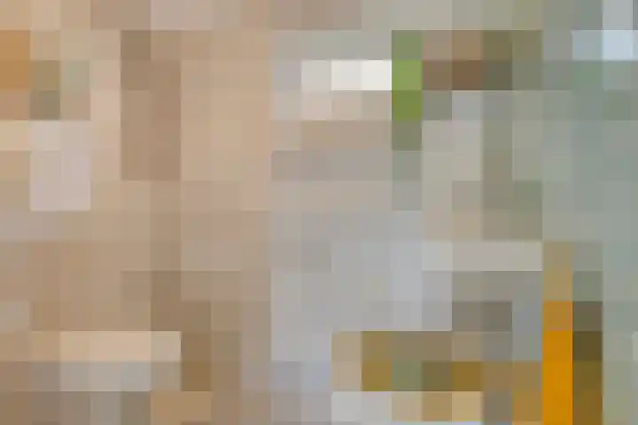 Eligiusstraat 55 Aalten thumbnail 32