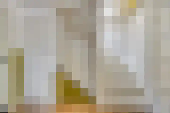 Eligiusstraat 55 Aalten thumbnail 33