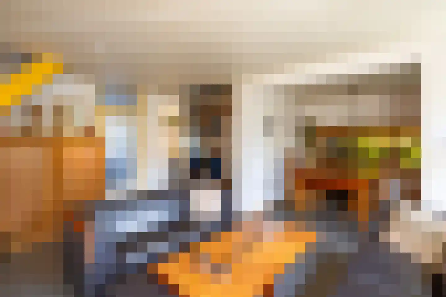 Eligiusweg 1 Venray thumbnail 10