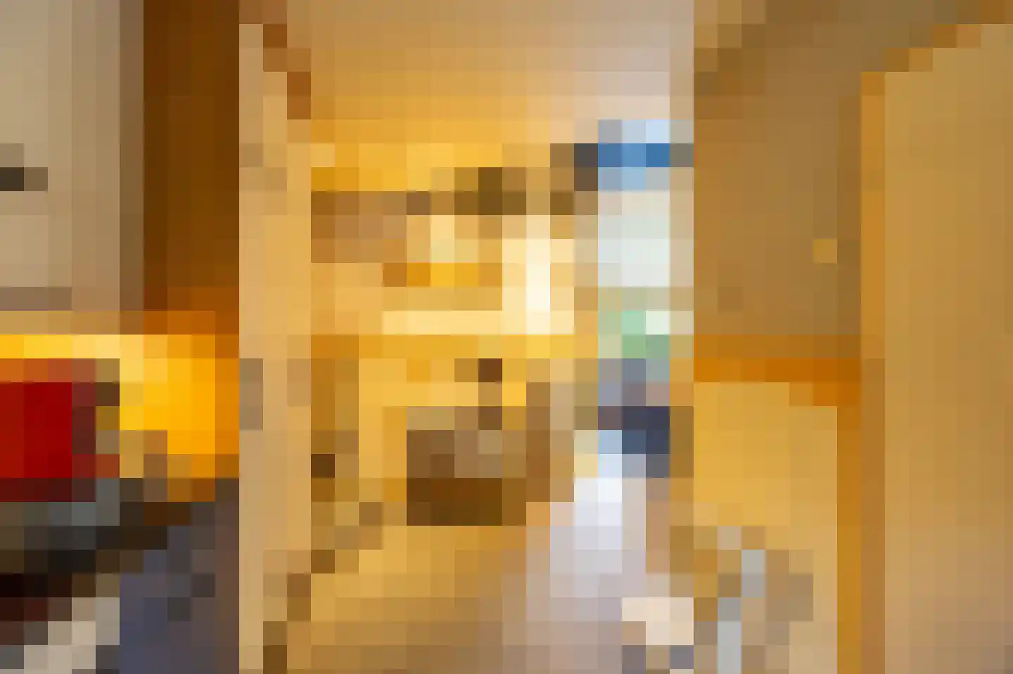 Eligiusweg 1 Venray thumbnail 18
