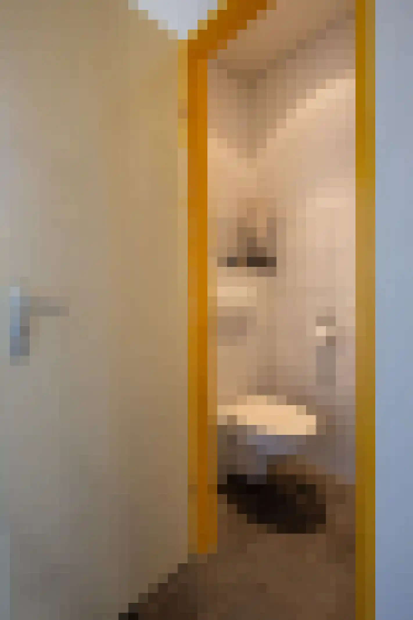 Eligiusweg 1 Venray thumbnail 8