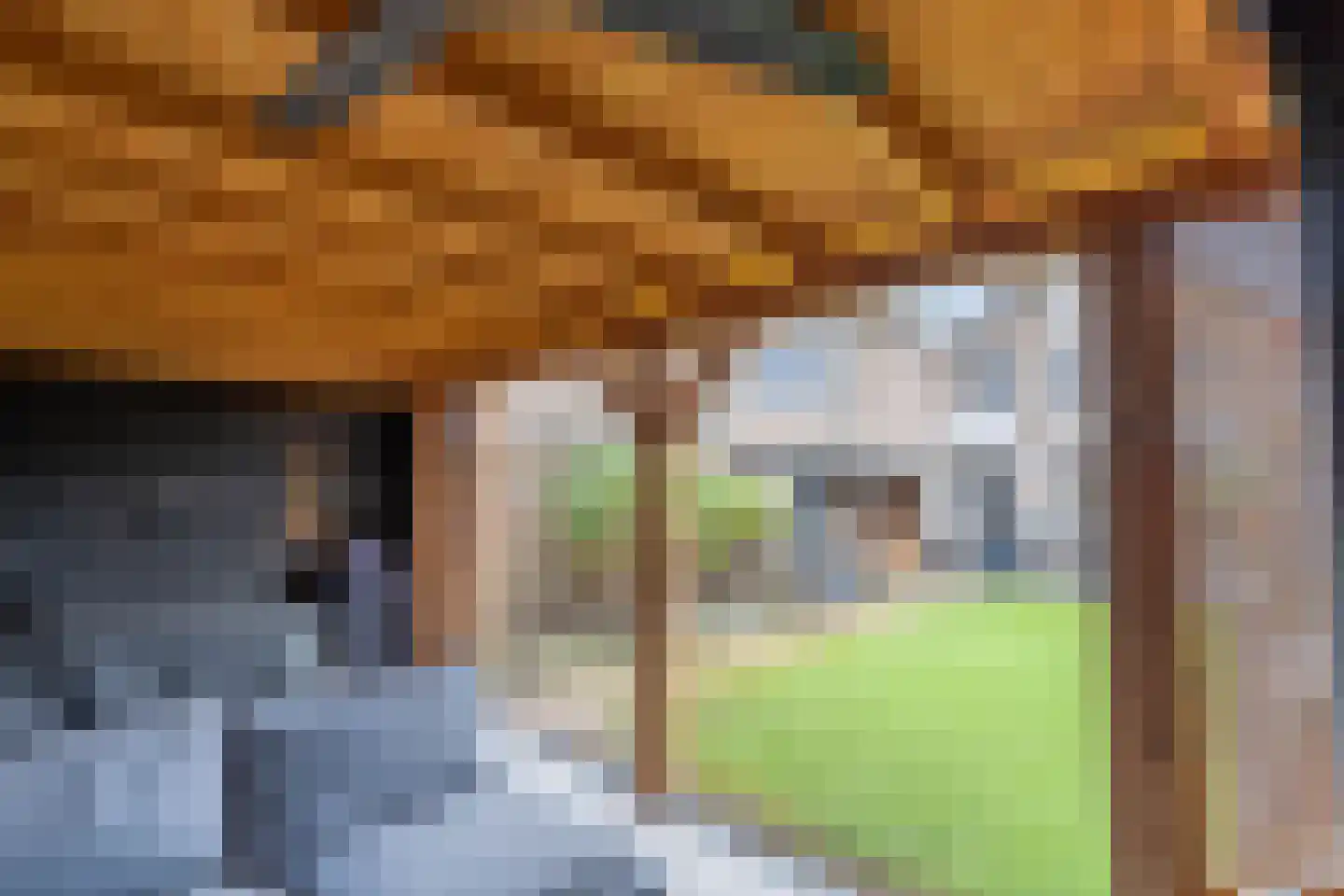 Eligiusweg 19 Venray thumbnail 17
