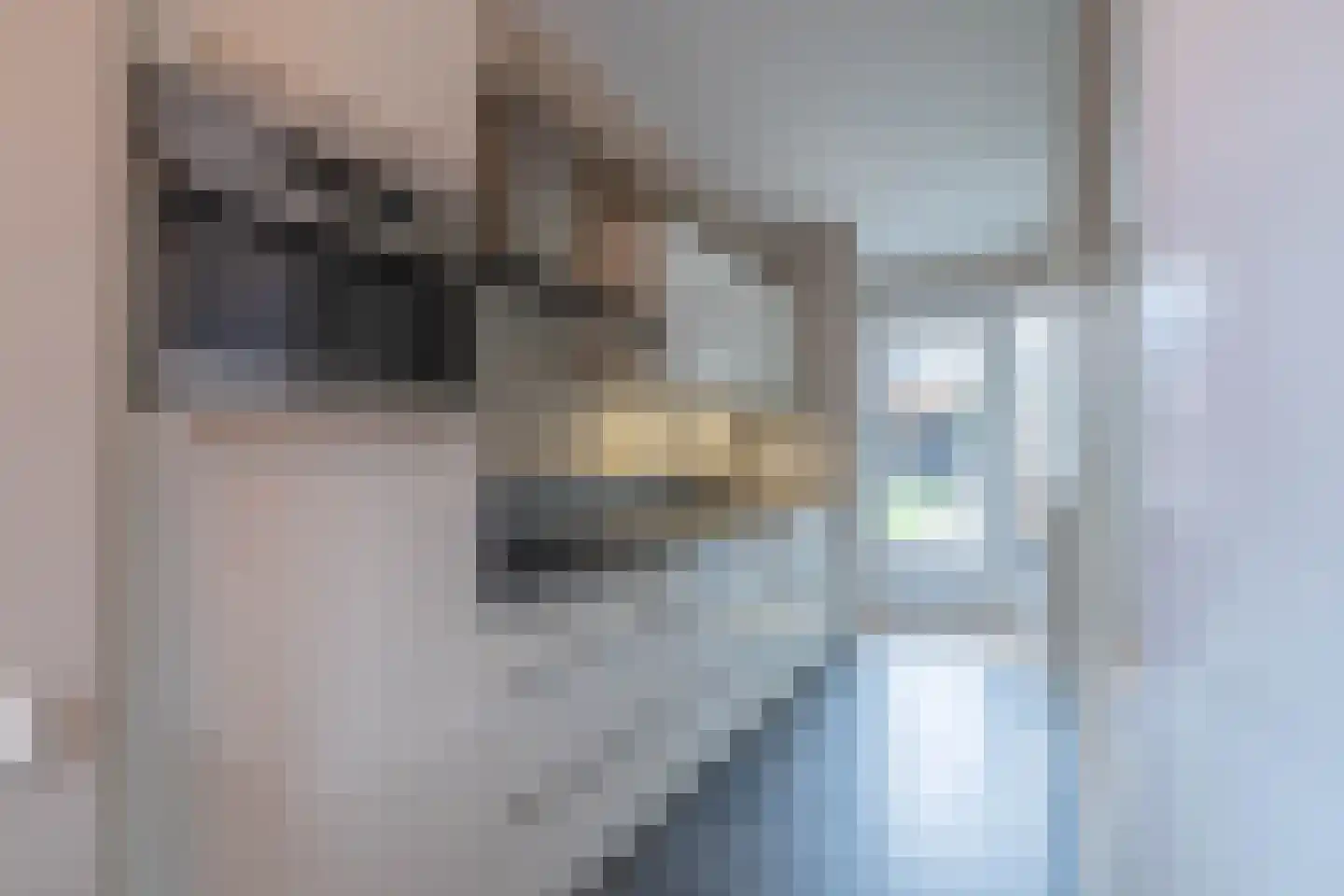 Eligiusweg 19 Venray thumbnail 20