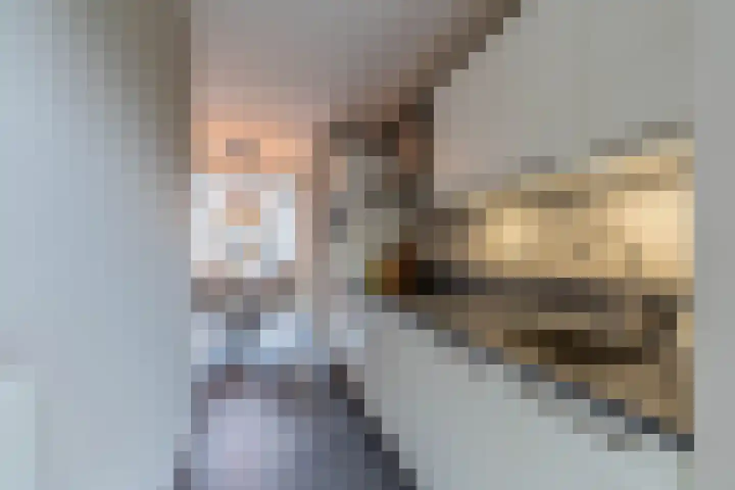 Eligiusweg 19 Venray thumbnail 21