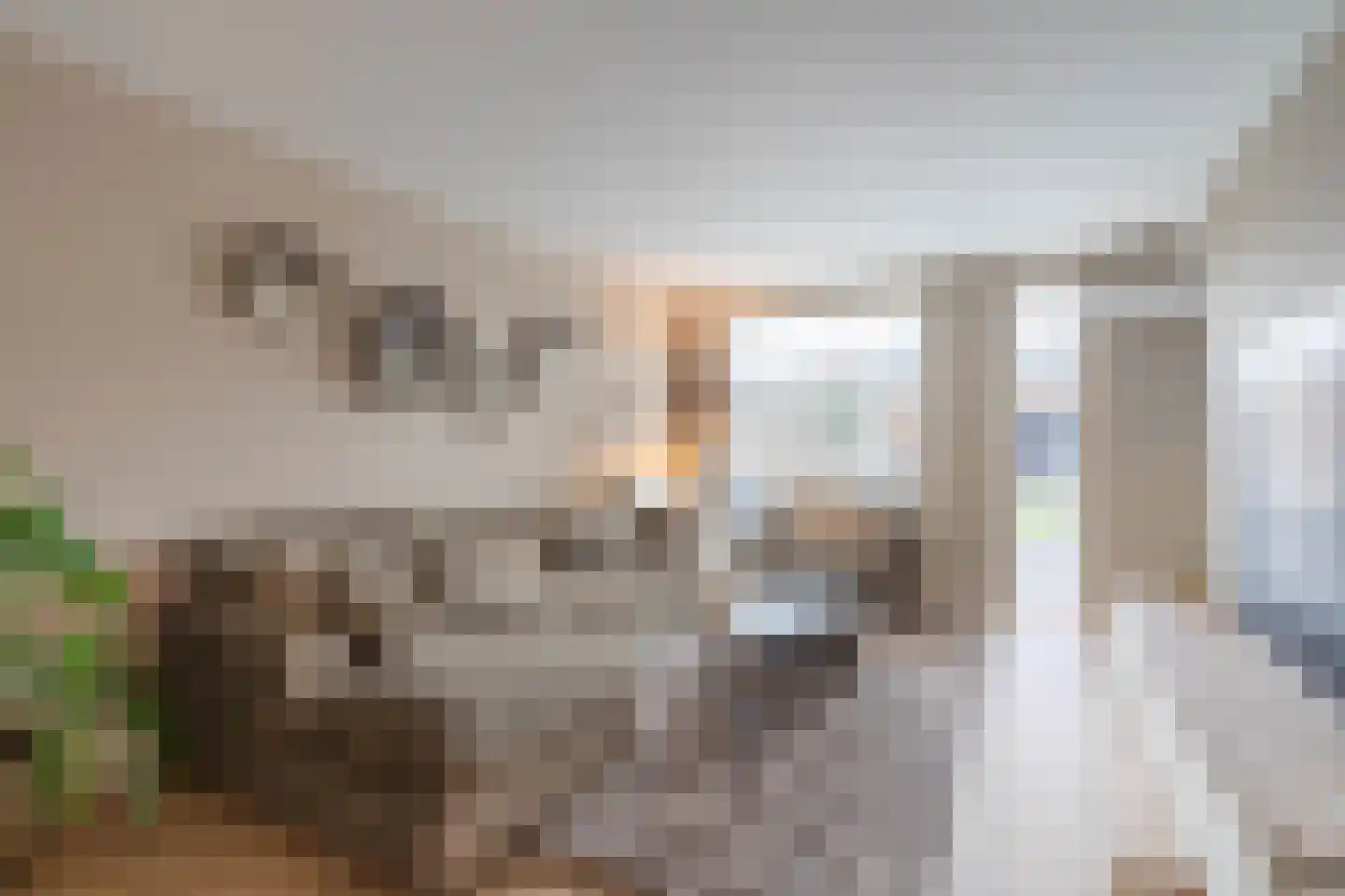 Eligiusweg 19 Venray thumbnail 25