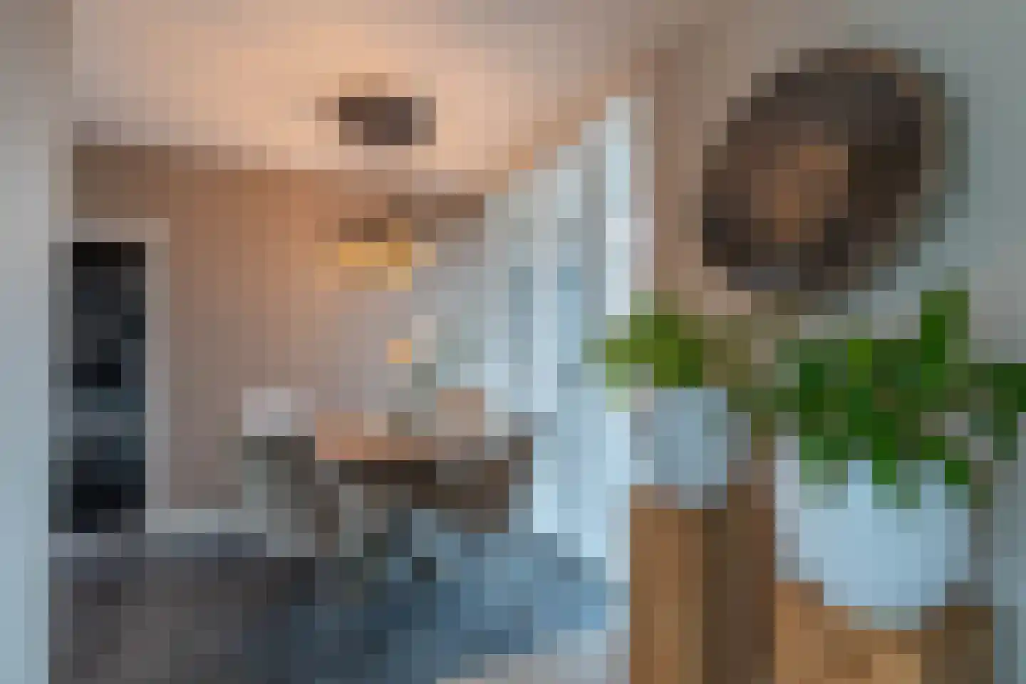 Eligiusweg 19 Venray thumbnail 28