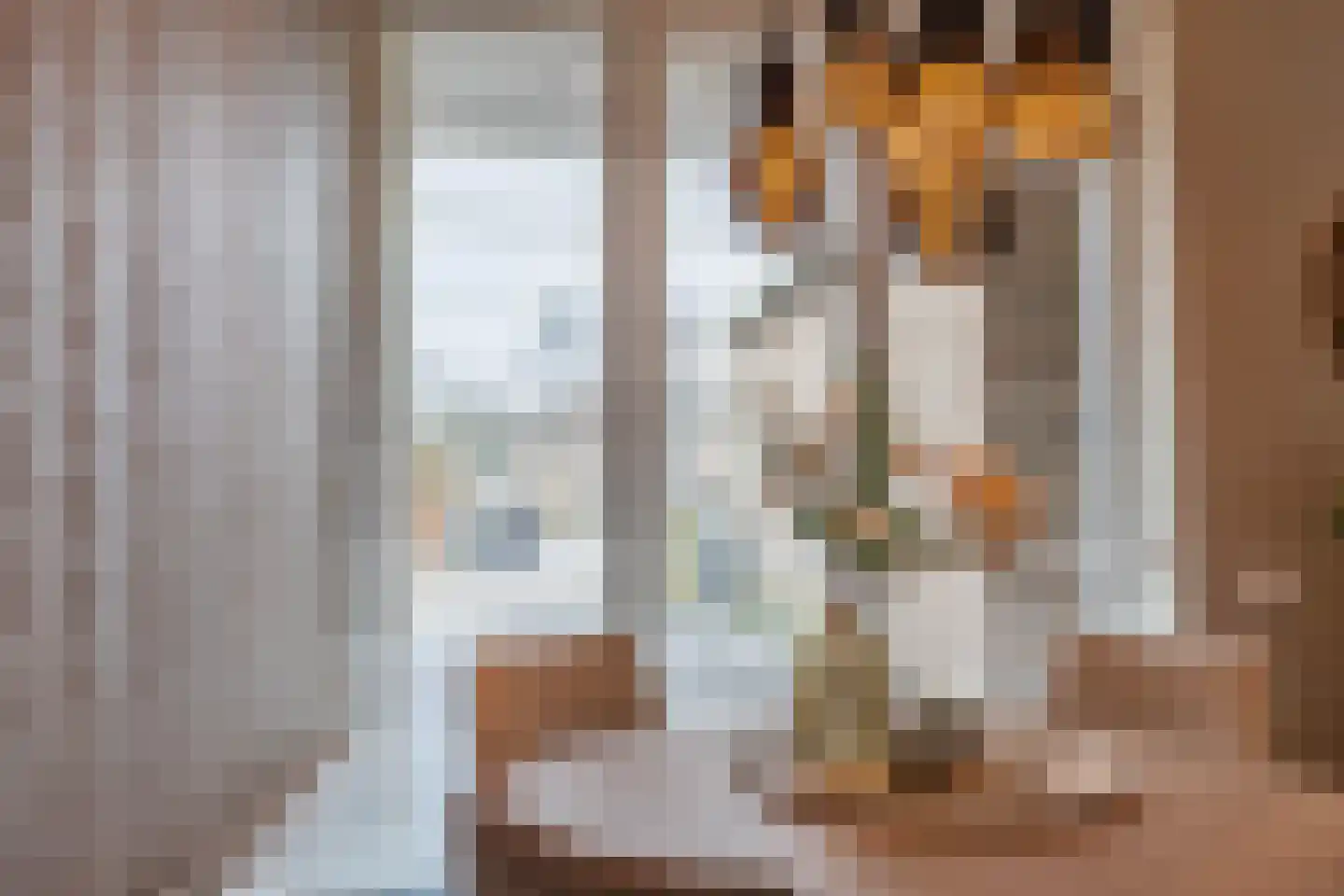 Eligiusweg 19 Venray thumbnail 30