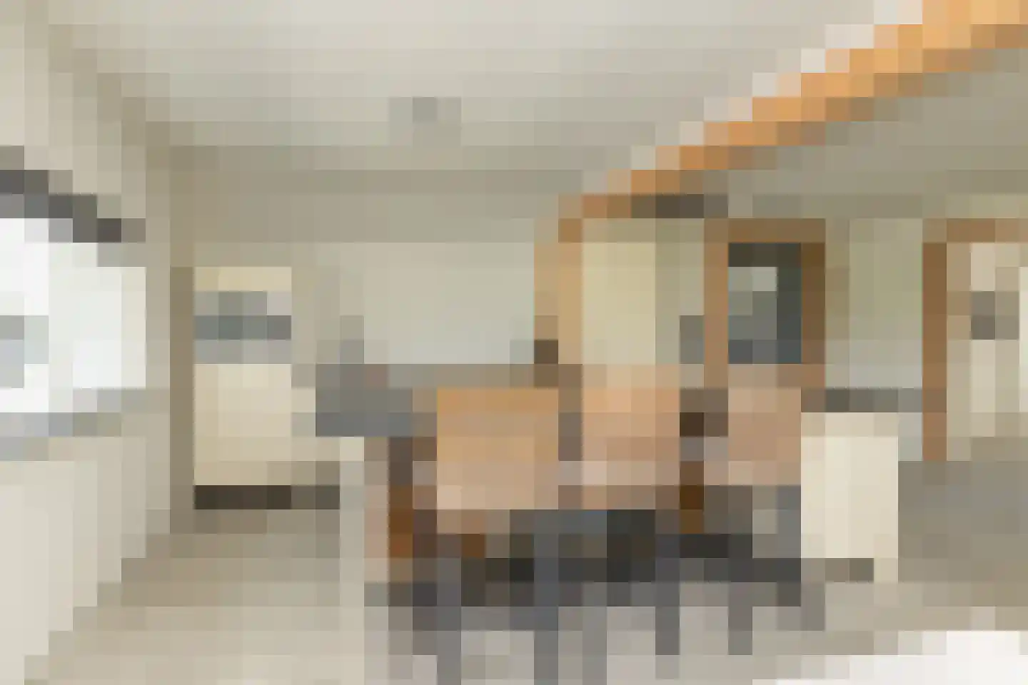 Elimmerweg 10 Schuinesloot thumbnail 18