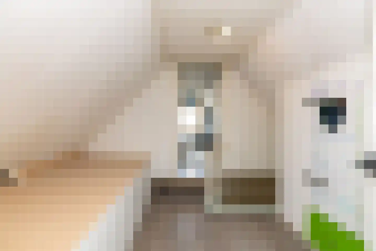 Elimmerweg 10 Schuinesloot thumbnail 31