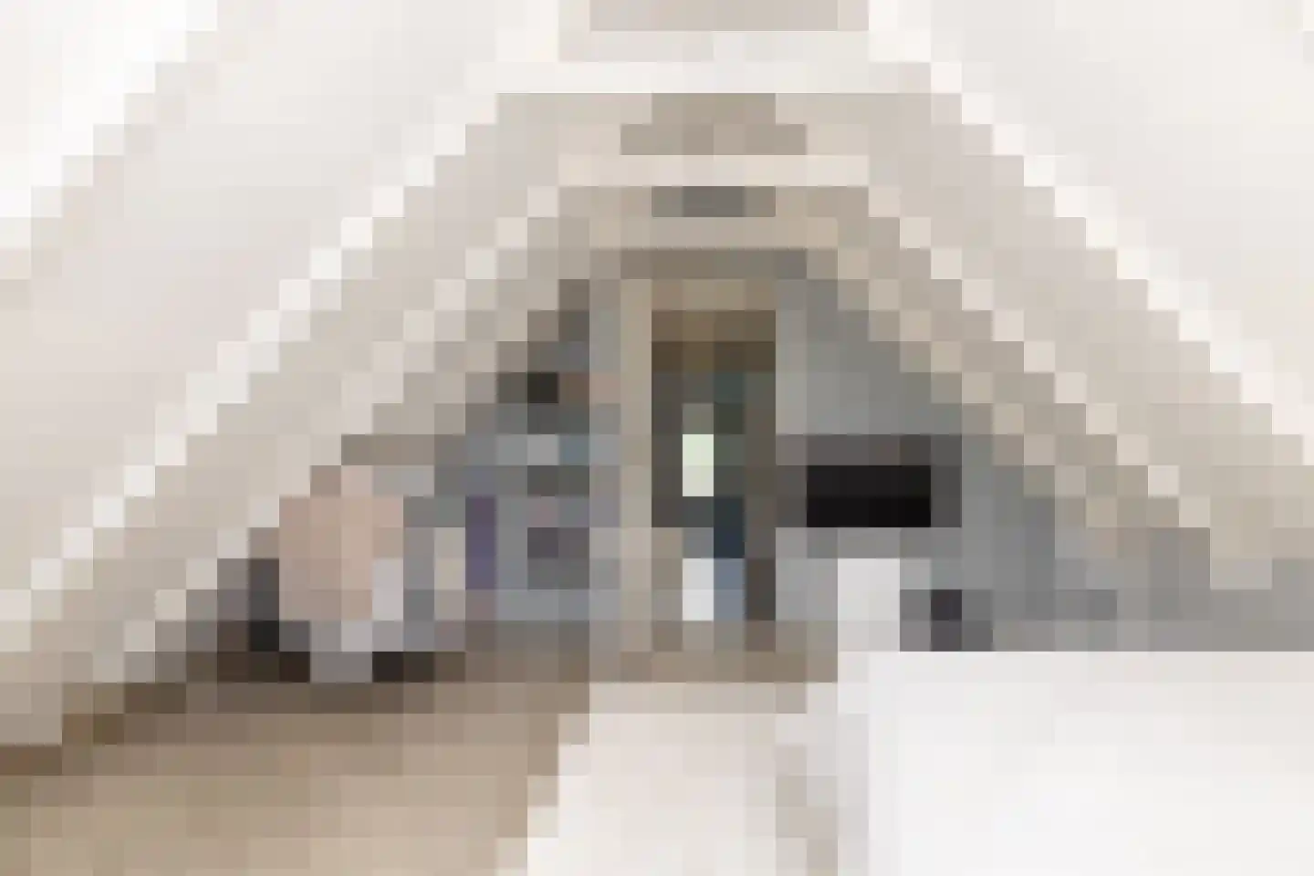 Elimmerweg 10 Schuinesloot thumbnail 33