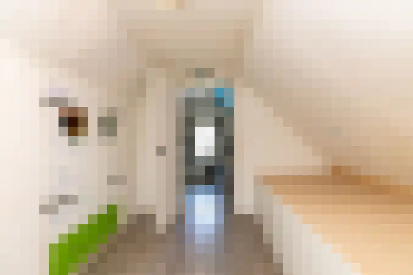 Elimmerweg 10 Schuinesloot thumbnail 34