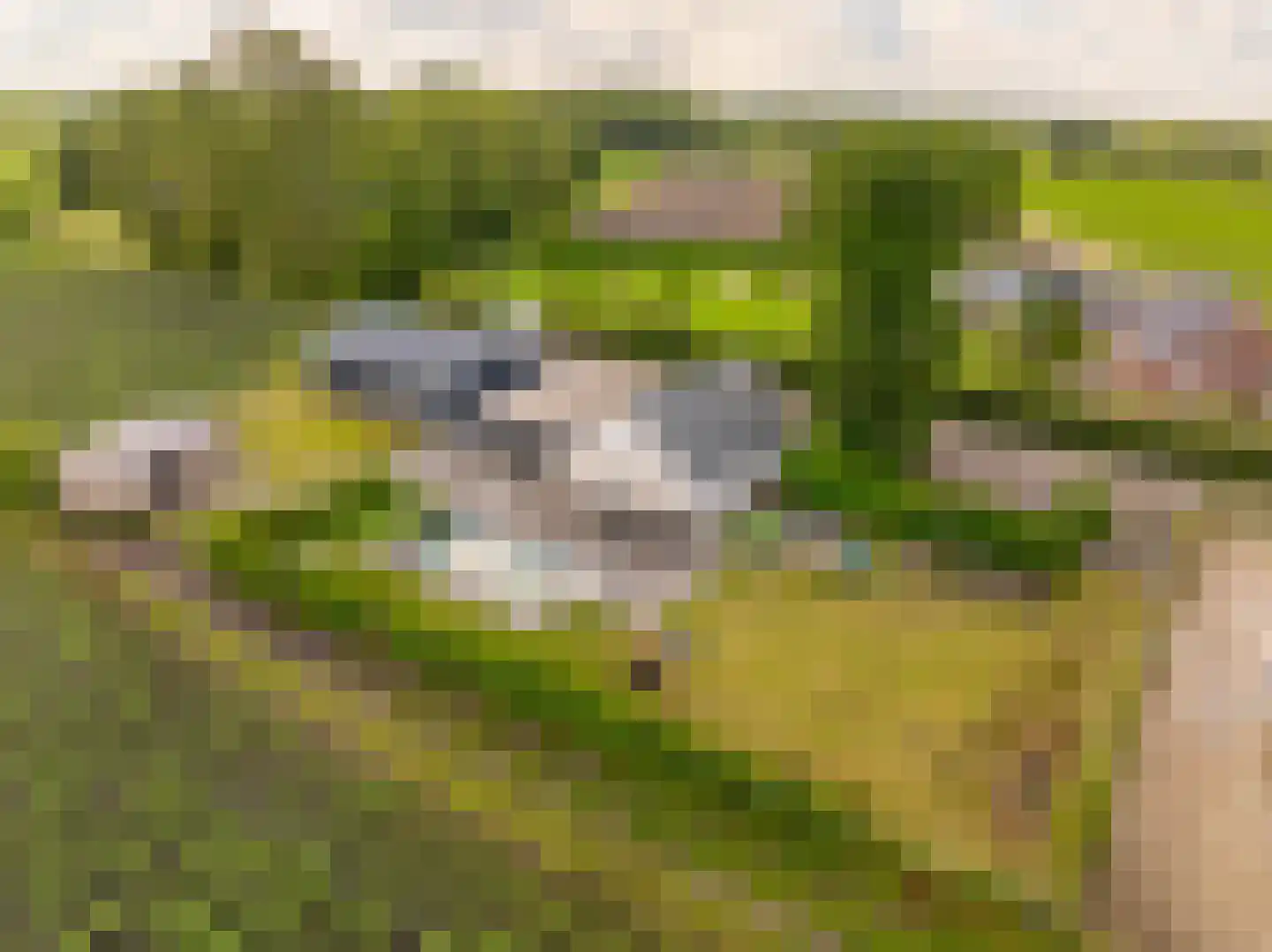 Elimmerweg 10 Schuinesloot thumbnail 38
