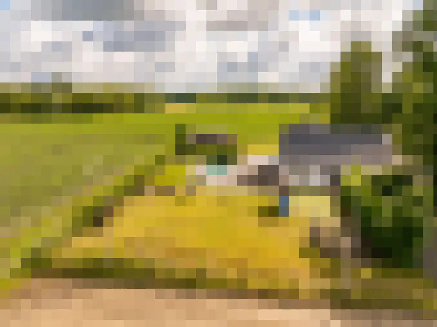 Elimmerweg 10 Schuinesloot thumbnail 39