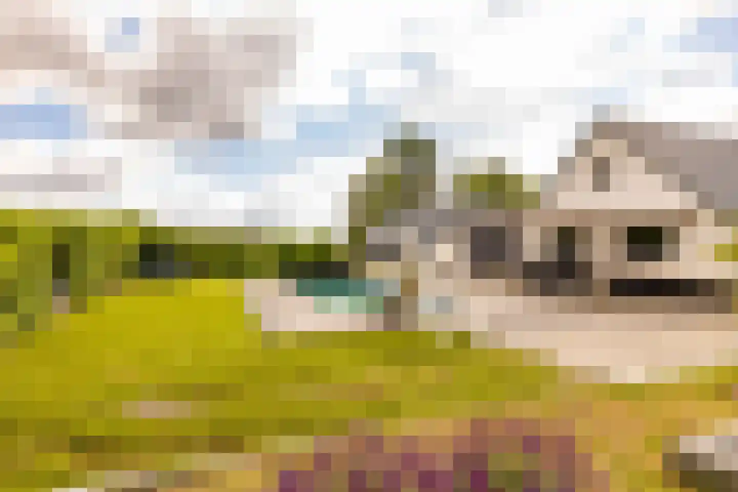 Elimmerweg 10 Schuinesloot thumbnail 41