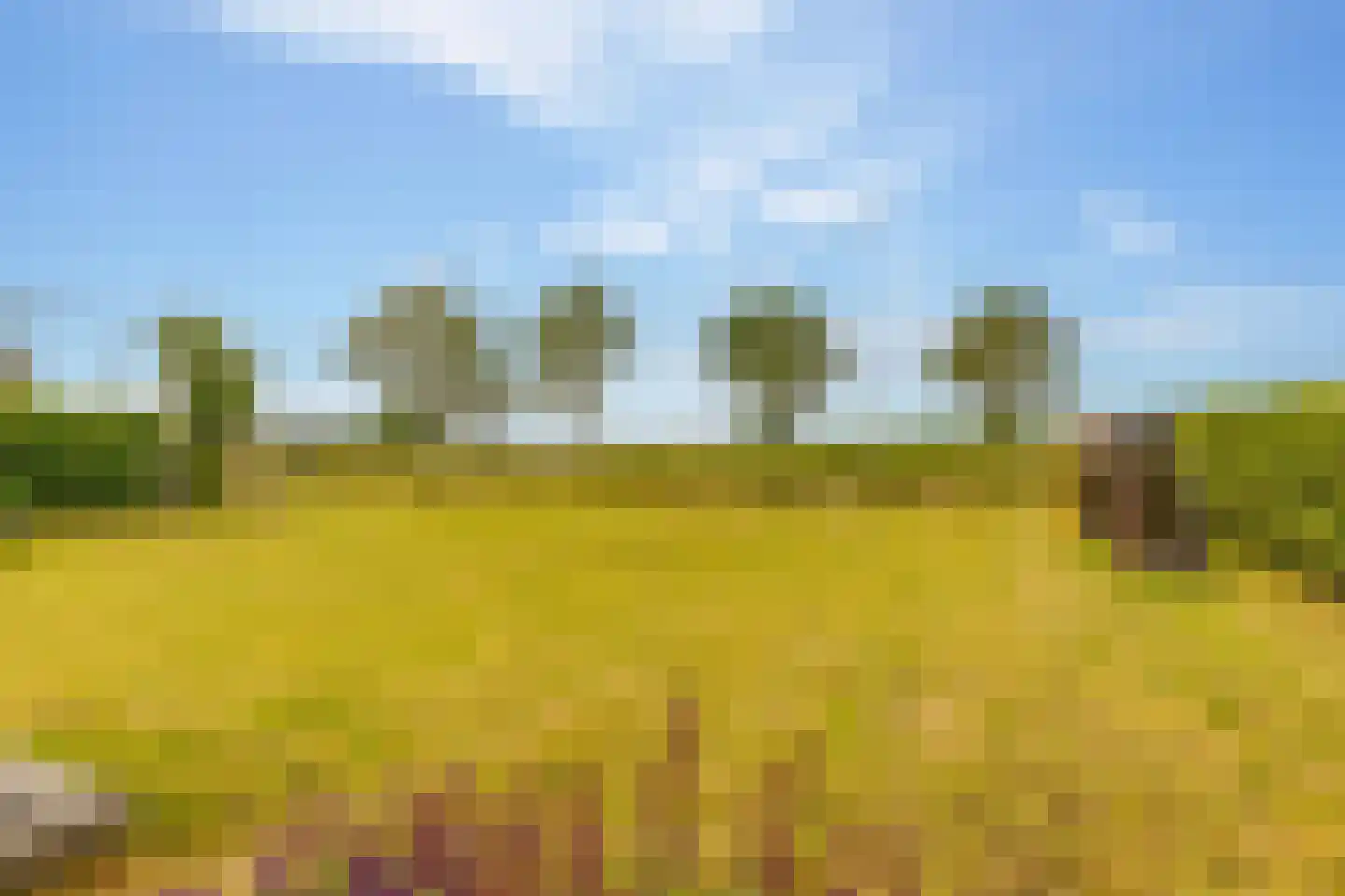 Elimmerweg 10 Schuinesloot thumbnail 46