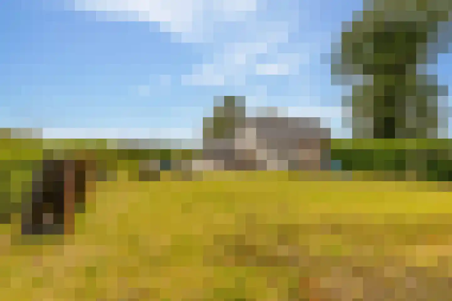 Elimmerweg 10 Schuinesloot thumbnail 47