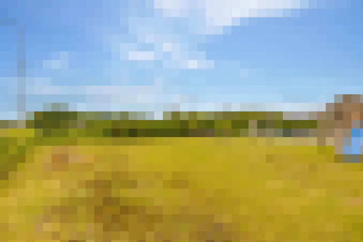 Elimmerweg 10 Schuinesloot thumbnail 48