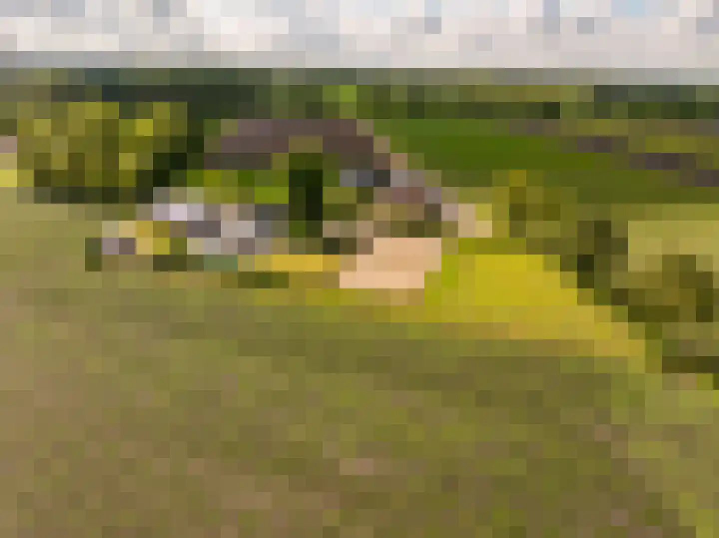 Elimmerweg 10 Schuinesloot thumbnail 49