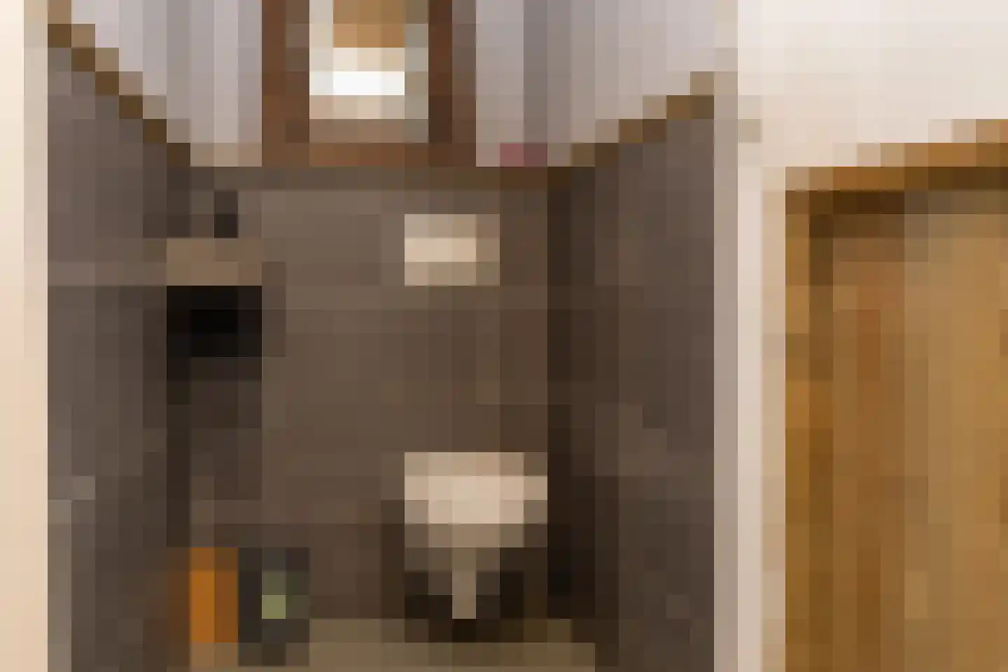 Elimmerweg 10 Schuinesloot thumbnail 58
