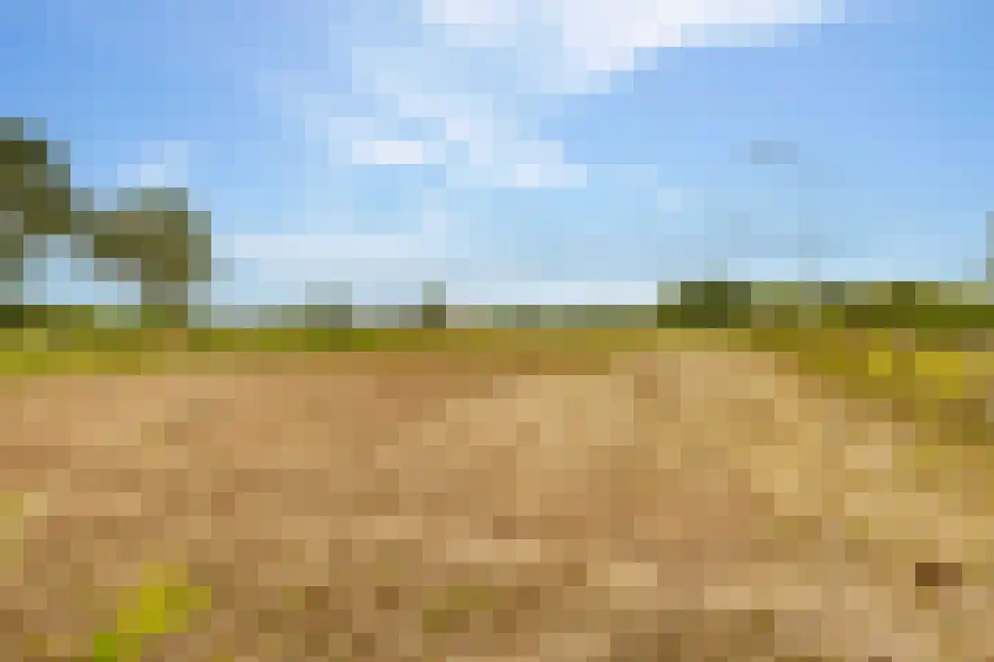 Elimmerweg 10 Schuinesloot thumbnail 60