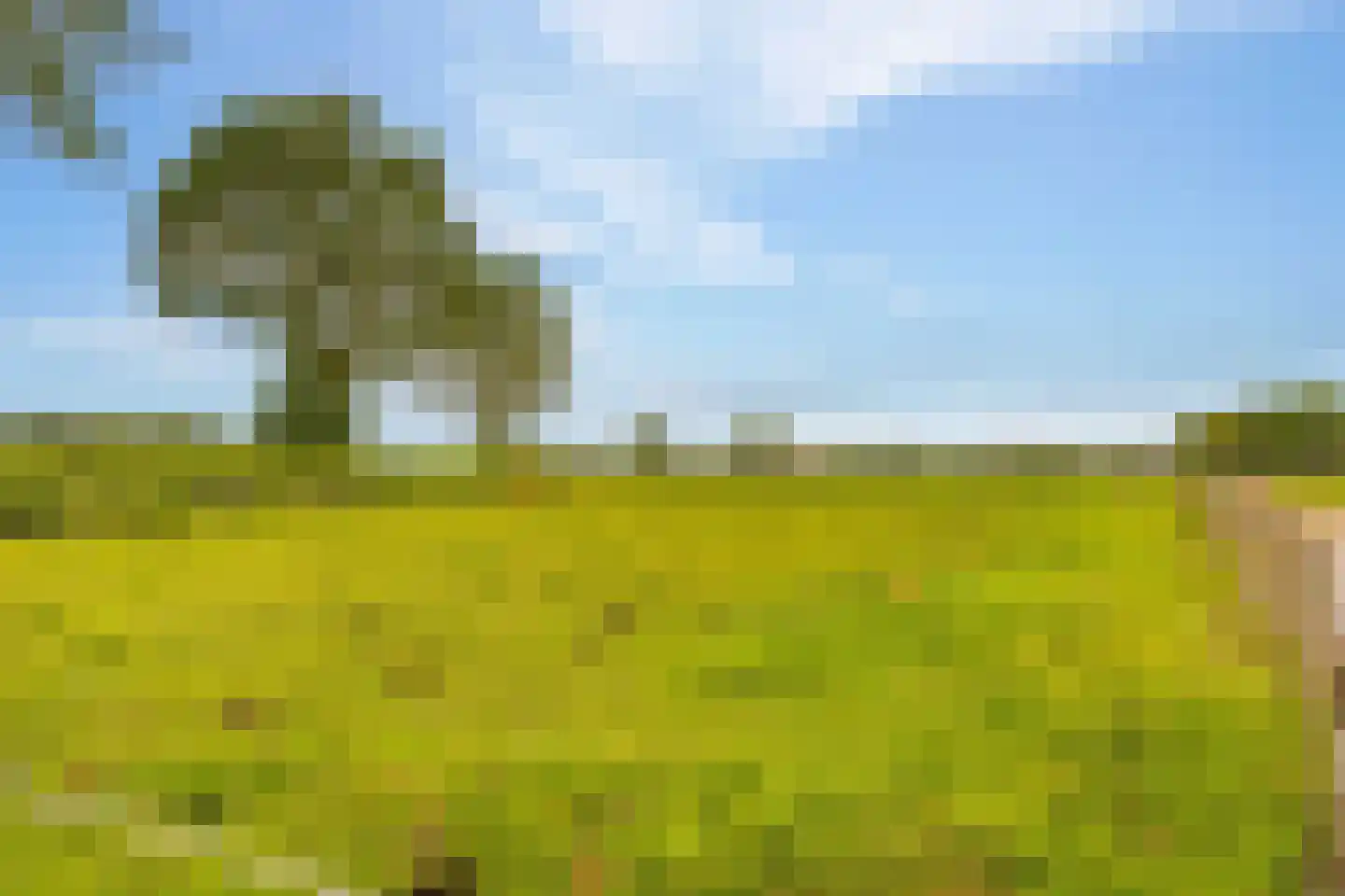 Elimmerweg 10 Schuinesloot thumbnail 61