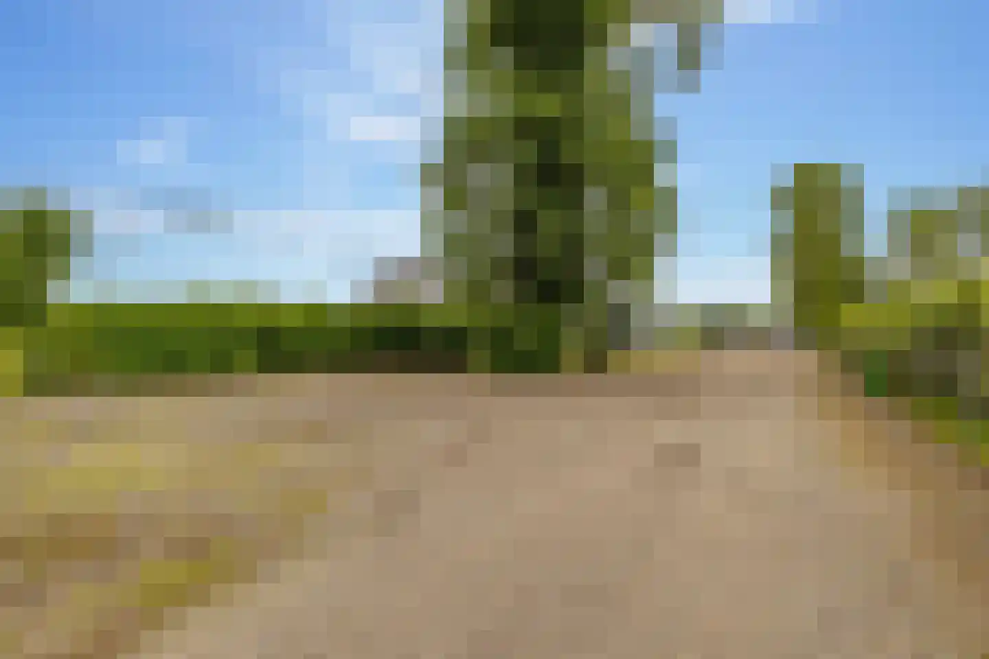 Elimmerweg 10 Schuinesloot thumbnail 62