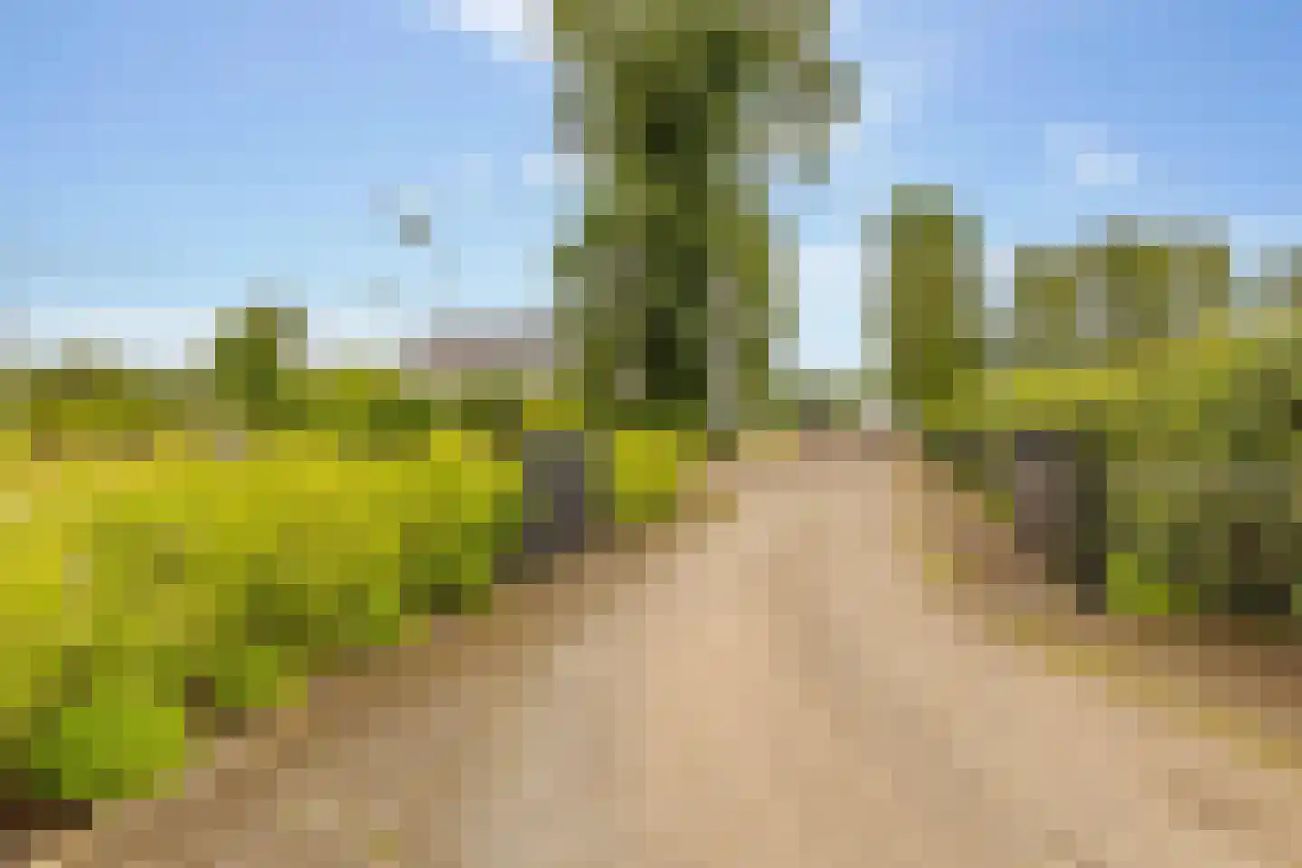 Elimmerweg 10 Schuinesloot thumbnail 65