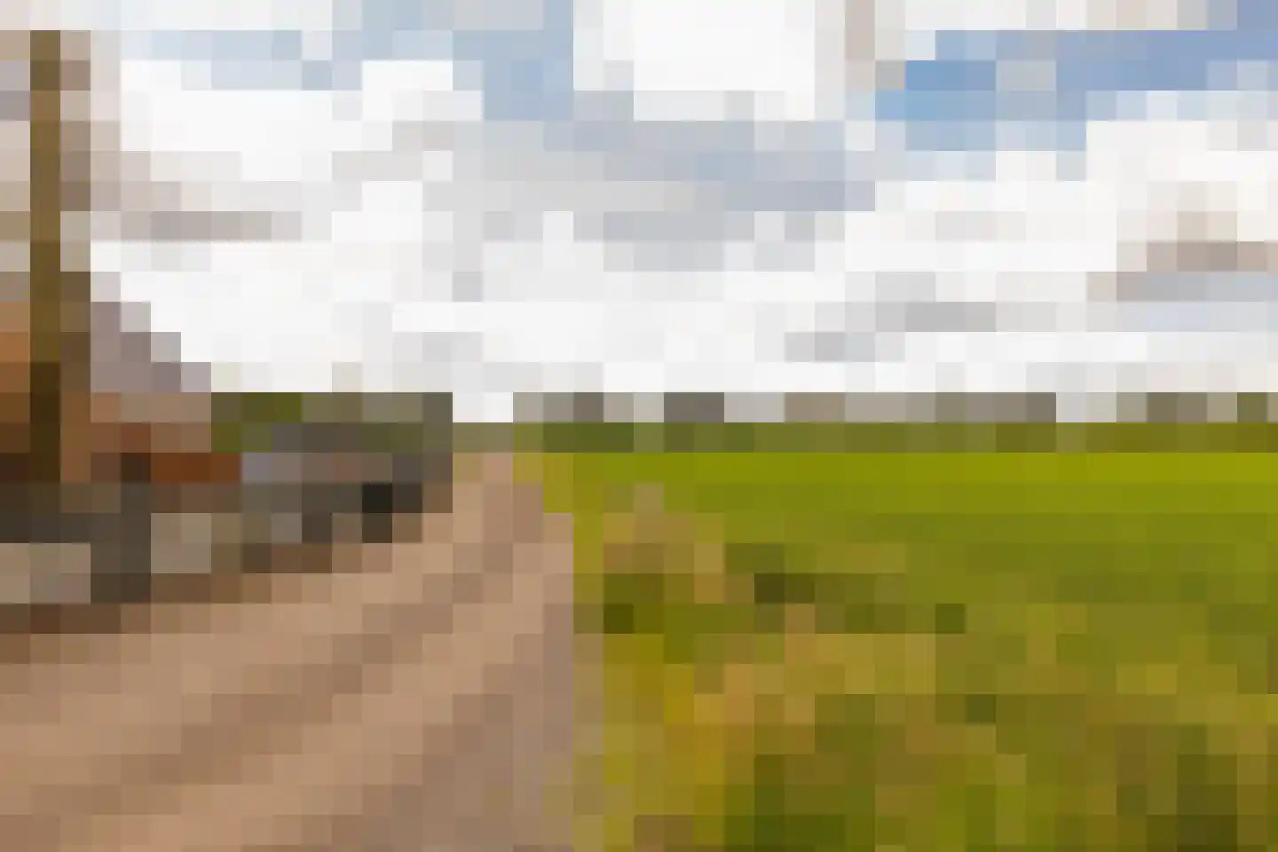 Elimmerweg 10 Schuinesloot thumbnail 68