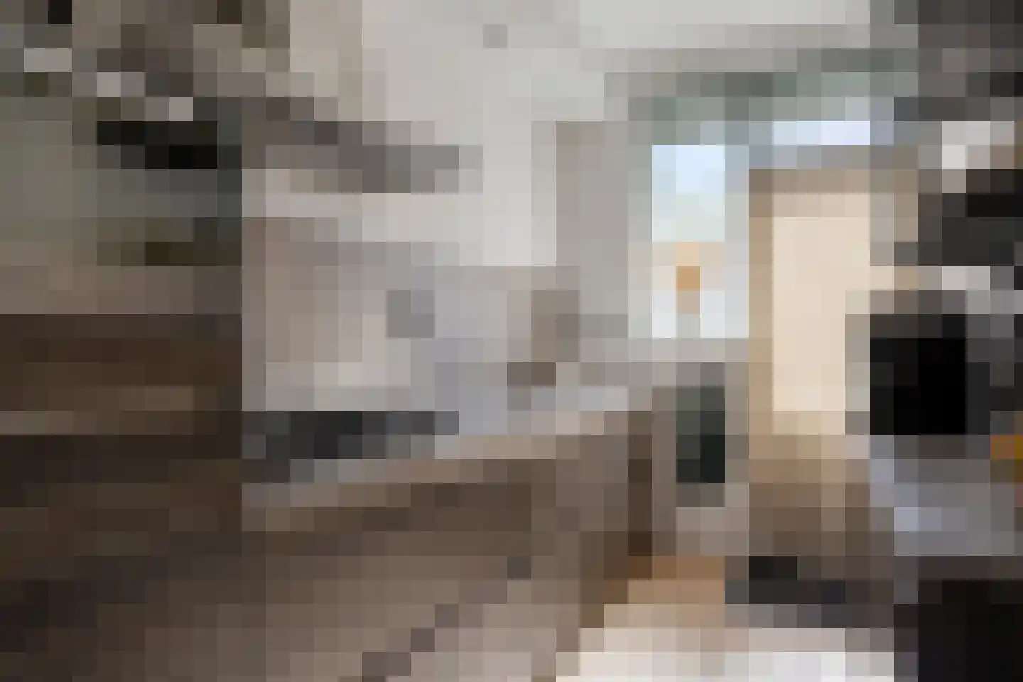 Elimstraat 2 Rotterdam thumbnail 13