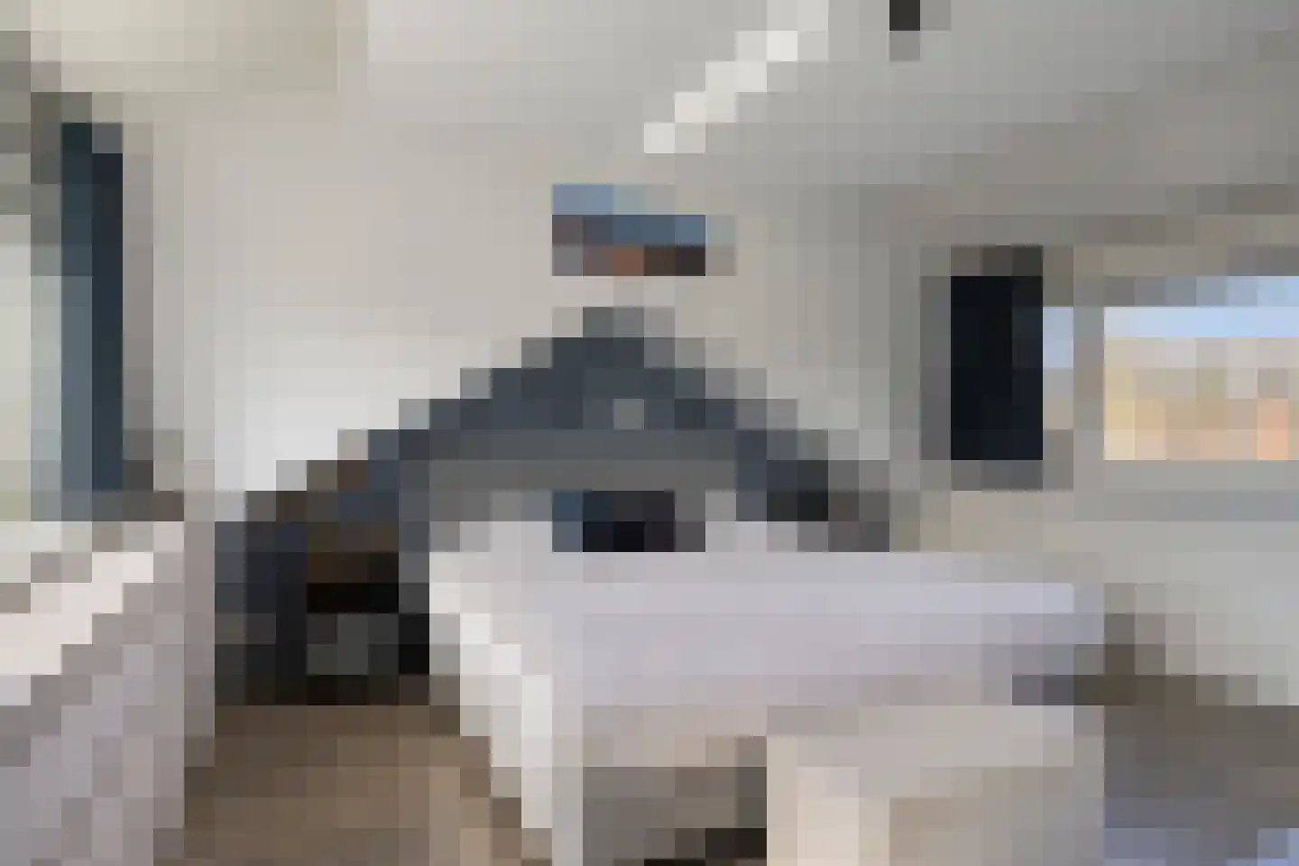 Elimstraat 2 Rotterdam thumbnail 28