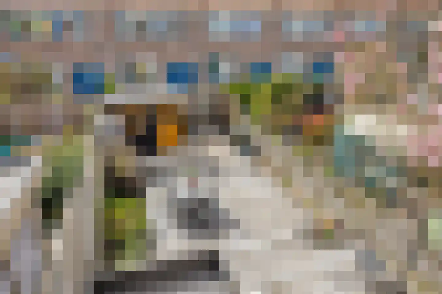 Elimstraat 2 Rotterdam thumbnail 33