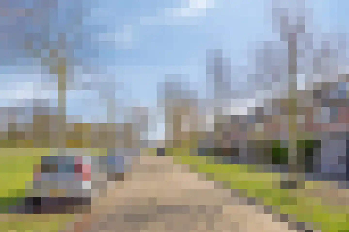 Elimstraat 2 Rotterdam thumbnail 4