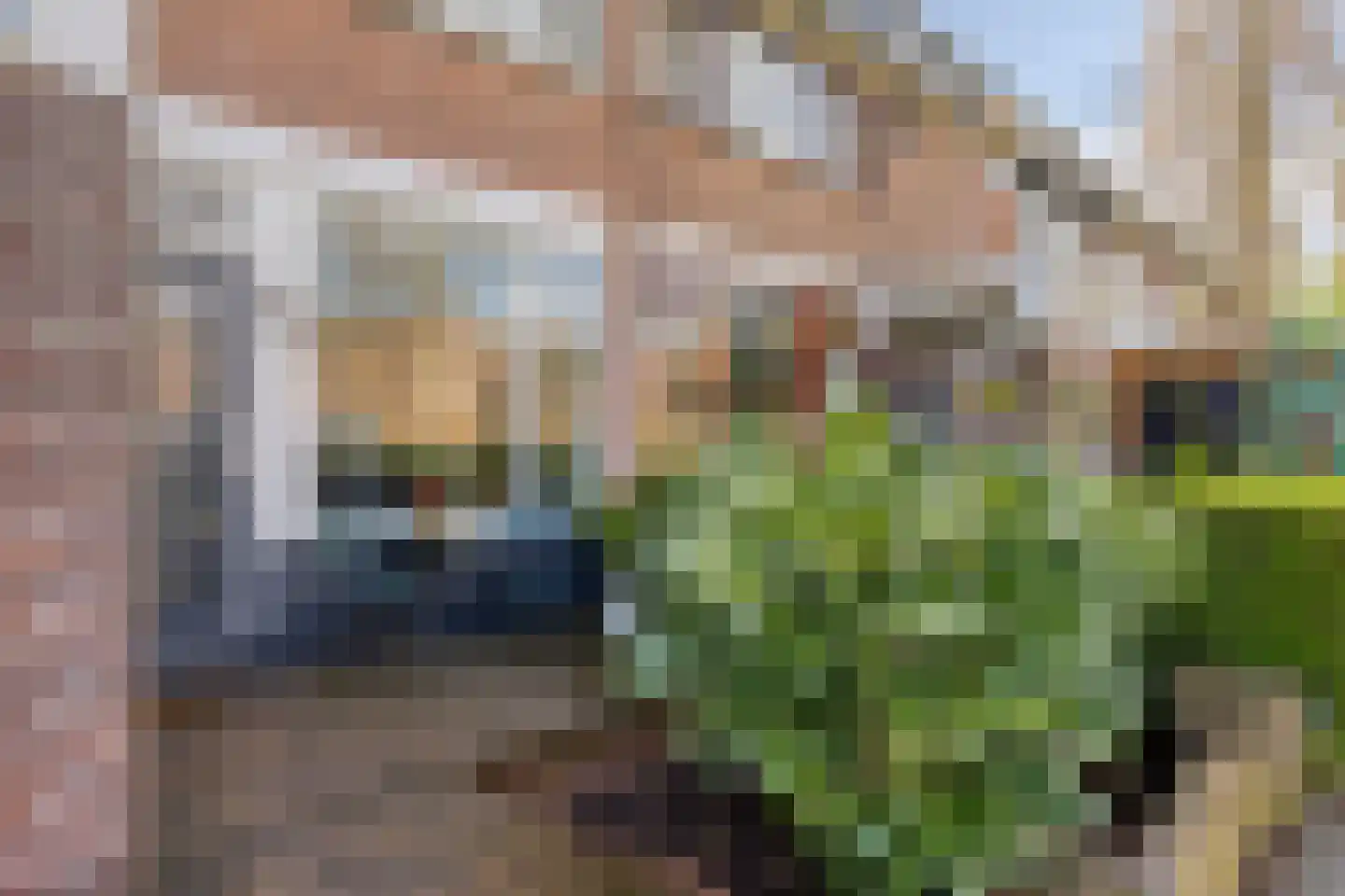 Elimstraat 2 Rotterdam thumbnail 5
