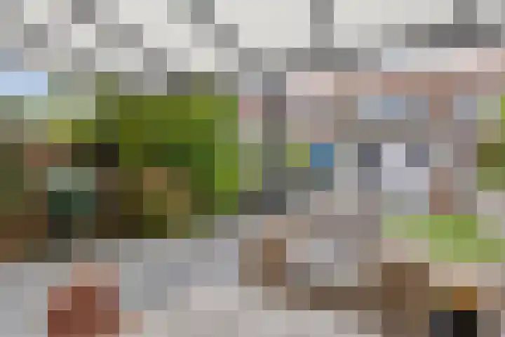 Elimstraat 6 Rotterdam thumbnail 20