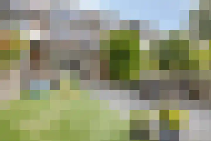 Elimstraat 6 Rotterdam thumbnail 24
