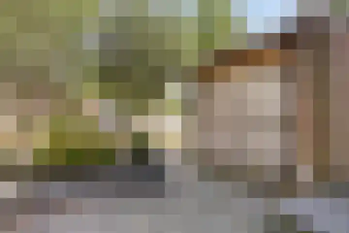 Elimstraat 6 Rotterdam thumbnail 28