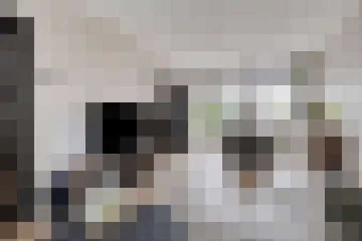 Elimstraat 6 Rotterdam thumbnail 6
