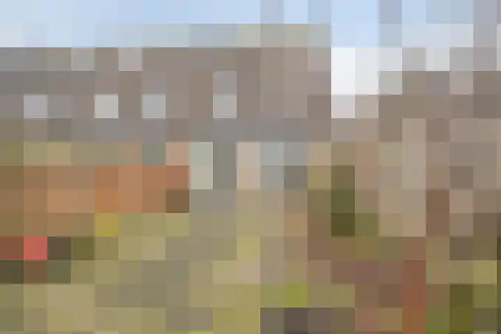Eline Vereplantsoen 13 Zaandam thumbnail 25