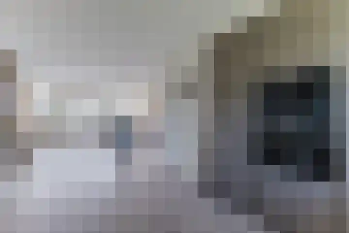 Eline Vereplantsoen 41 Zaandam thumbnail 17