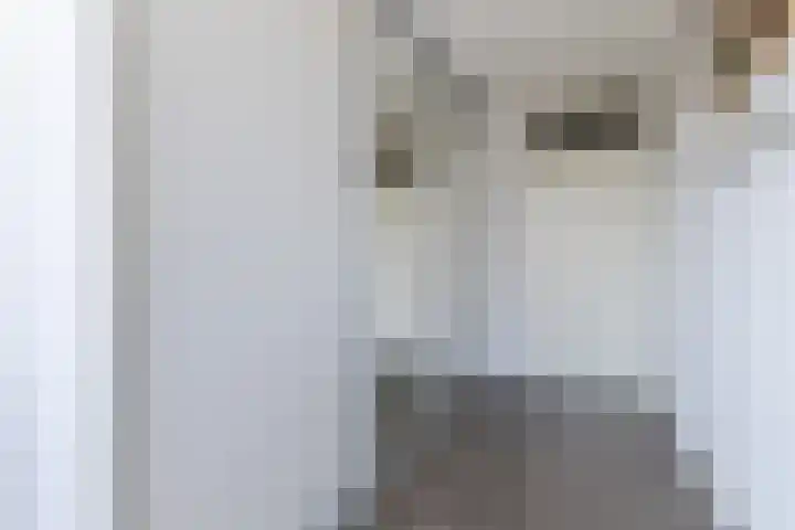 Eline Vereplantsoen 41 Zaandam thumbnail 27