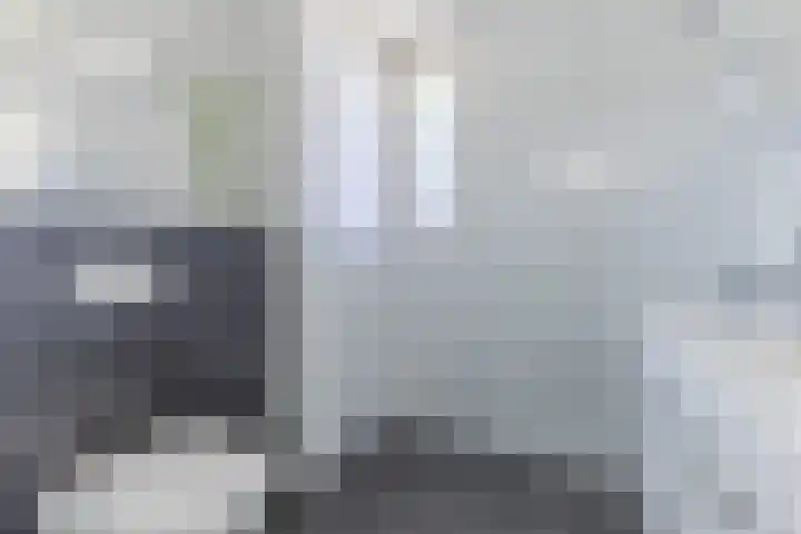Eline Vereplantsoen 41 Zaandam thumbnail 28