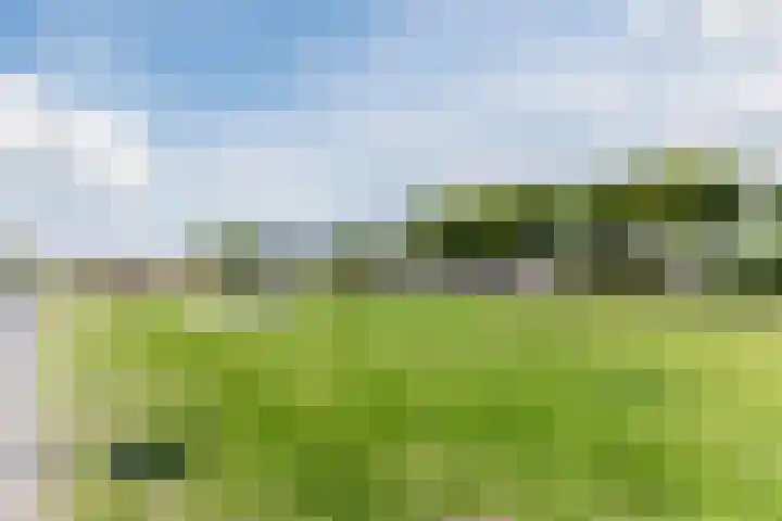 Eline Vereplantsoen 41 Zaandam thumbnail 34
