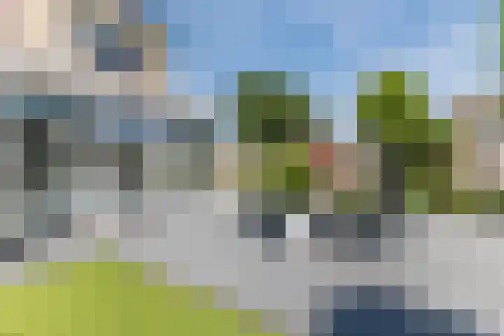 Eline Vereplantsoen 41 Zaandam thumbnail 38