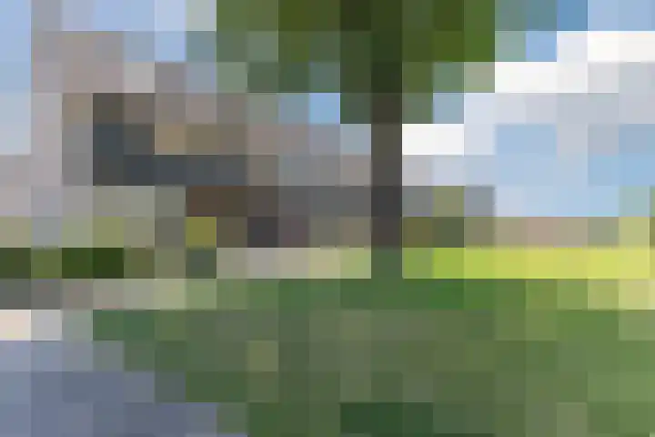Eline Vereplantsoen 41 Zaandam thumbnail 7