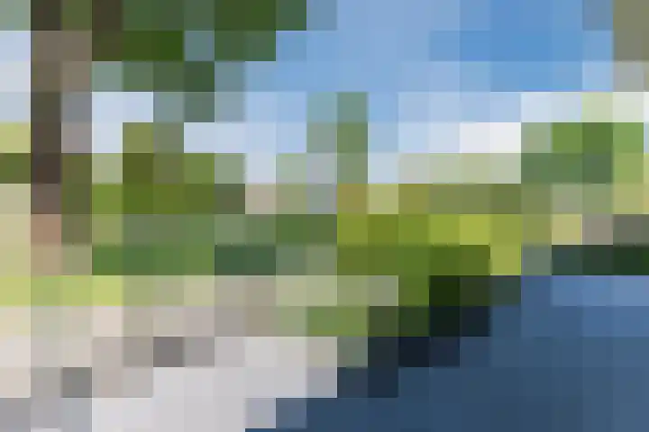 Eline Vereplantsoen 41 Zaandam thumbnail 9