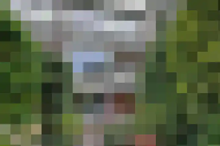 Eline Verestraat 25 Amstelveen thumbnail 26